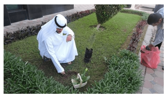 Customer Happiness Center at Al Ain organizes an activity for its employees in celebrating the 37th Tree Plantation Week
