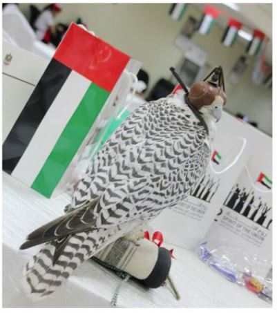 Musaffah Center Celebrates National Day with children, police music and “Anqash”