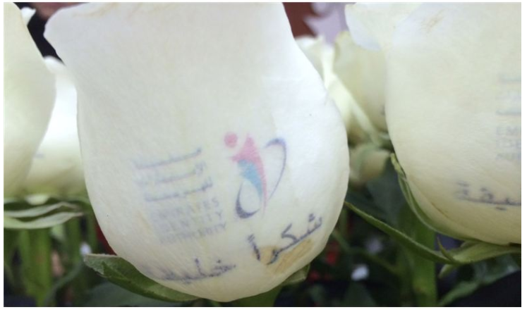 موظفو مركز الكرامة يتفاعلون مع مبادرة “شكراً خليفة”