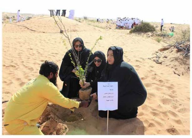 موظفات “الشارقة للتسجيل” يشاركن في تشجير “محمية المنتثر”