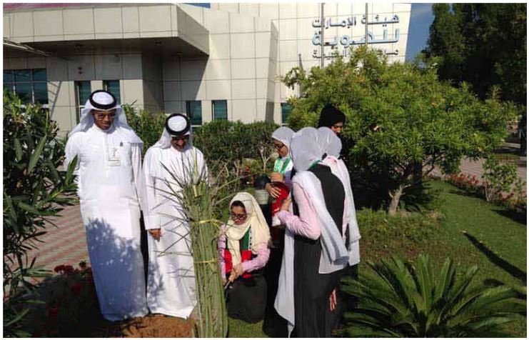 Ras Al Khaimah Center Participates in “Zayed Palm” Initiative