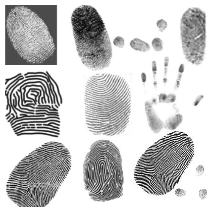 Emirates Identity Authority’s fingerprint identification technology  comes first worldwide