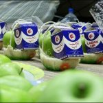 Fujairah Registration Center participates in World Food Day-thumb