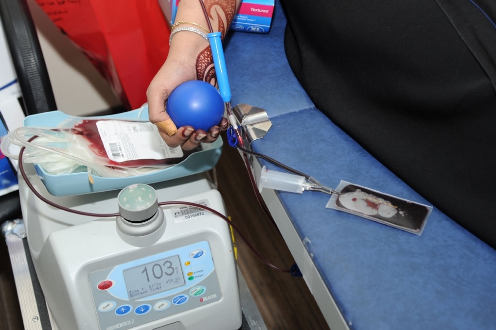 موظفو “الهوية” يتبرعون بالدم لمرضى الثلاسيميا