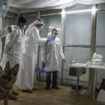 The Globally Renowned Magazine “Nature” to Publish UAE Study on Employing K9 Dogs to Detect “Covid-19”-thumb