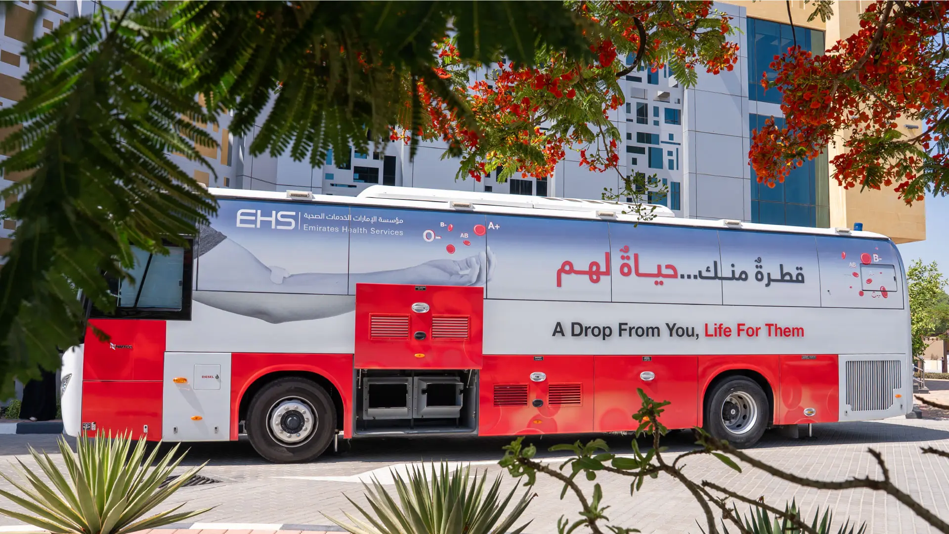 مبادرات صحية بمناسبة اليوم العالمي للمتبرعين بالدم